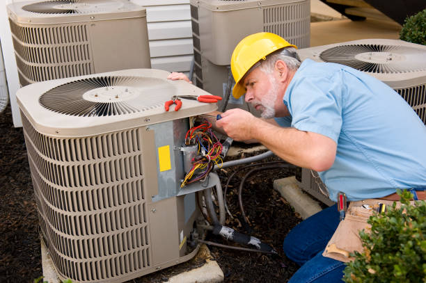 Best Furnace Cleaning in Dland, MI